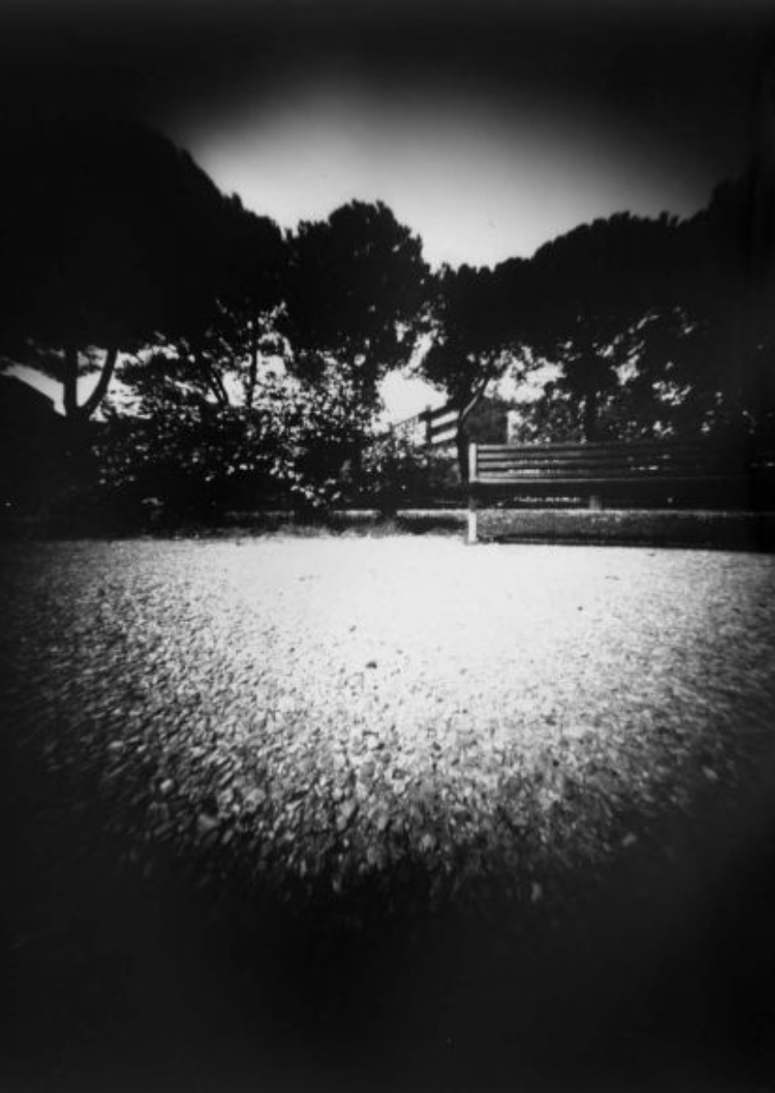 I risultati del Foro…